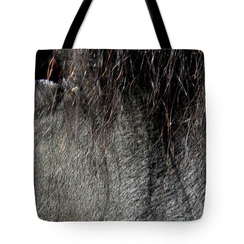 Horse Tote Bag featuring the photograph Just A Glimpse by Kim Galluzzo