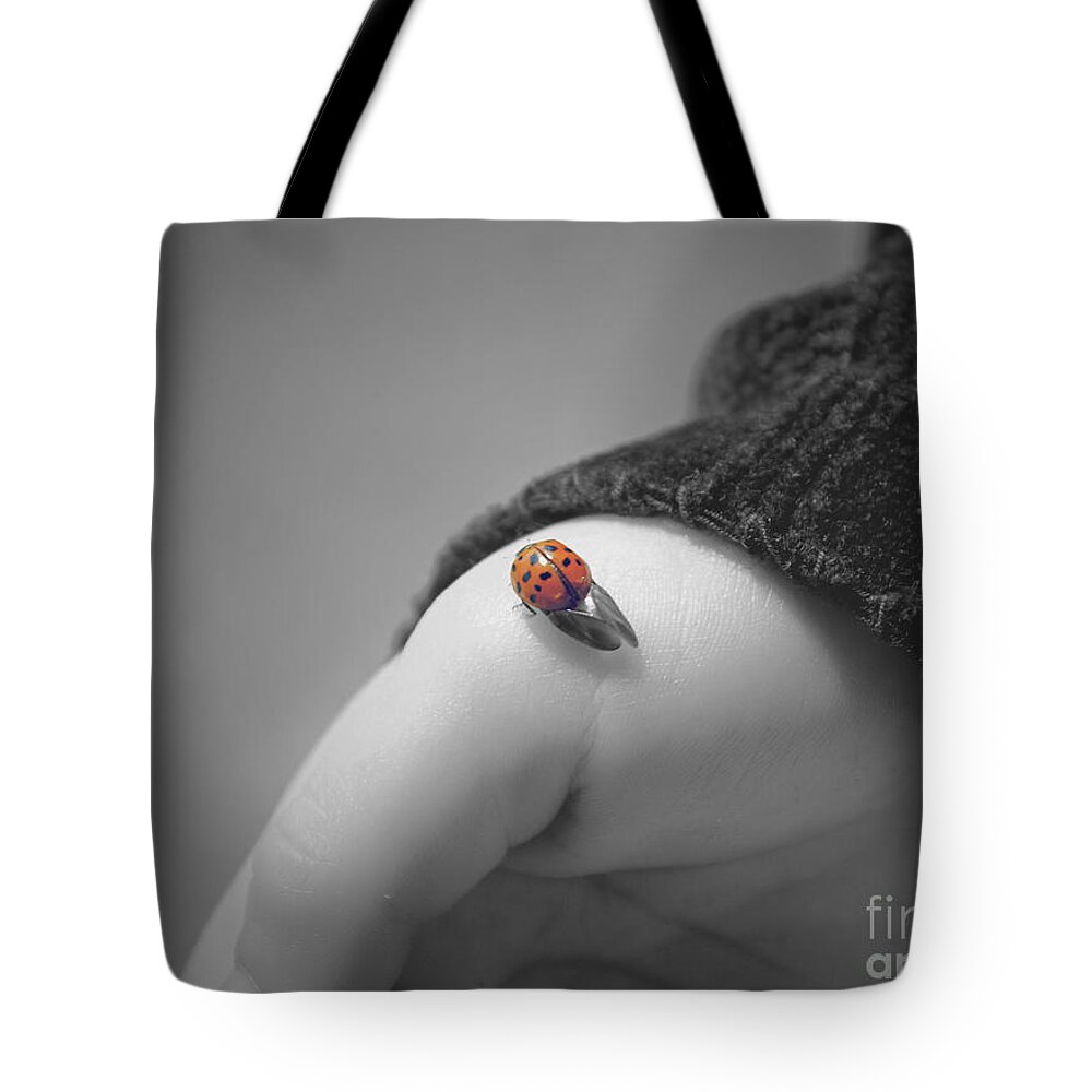 Ladybug Tote Bag featuring the photograph Just for a moment by Aimelle Ml