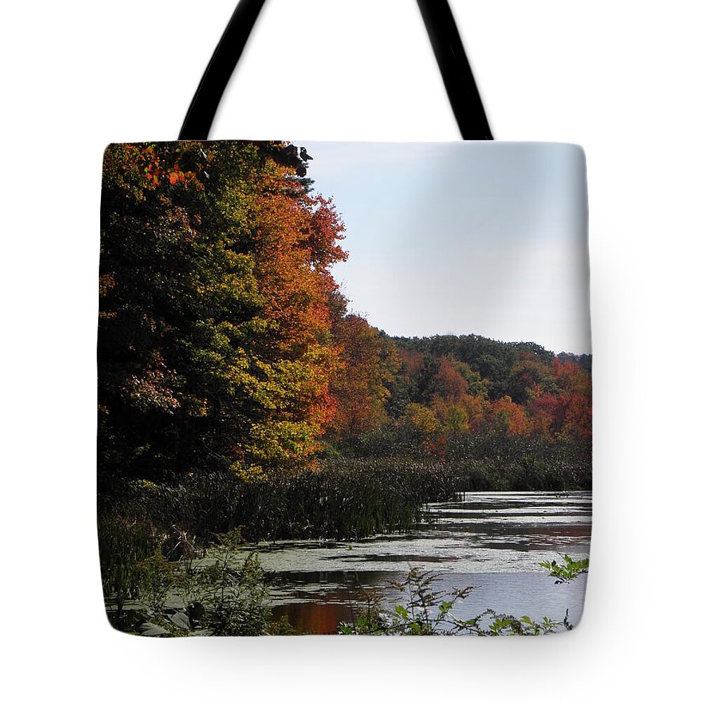 Autumn Tote Bag featuring the photograph Just simple Beauty by Kim Galluzzo Wozniak