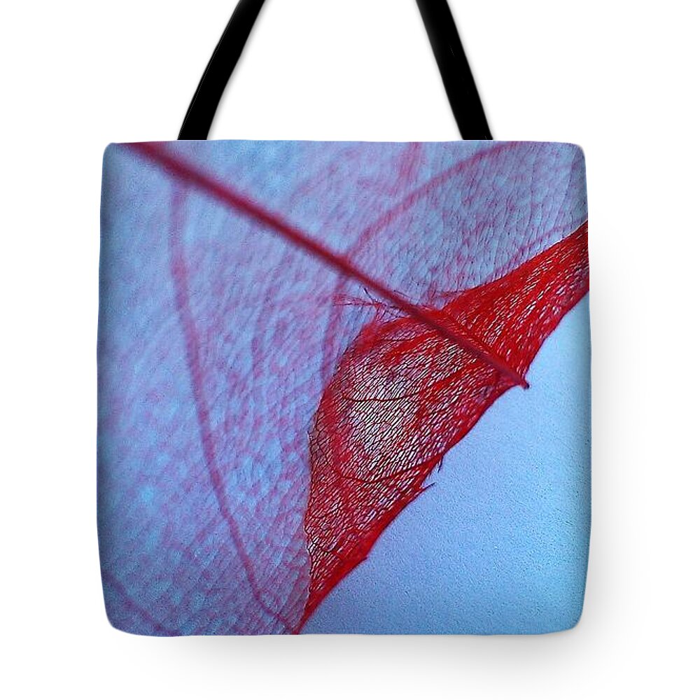  Fine Art America Tote Bag featuring the photograph Lace Leaf 3 by Jennifer Bright Burr