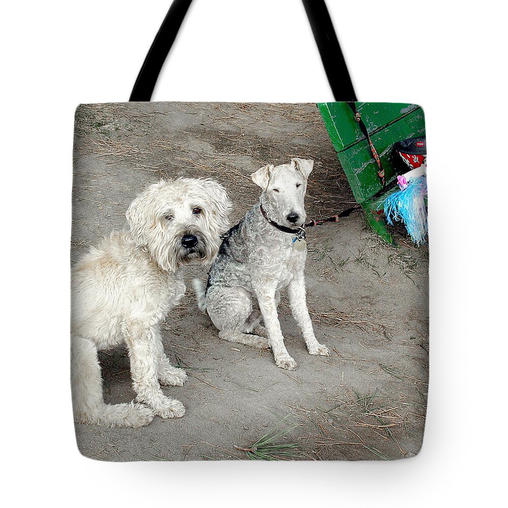 White Dogs Tote Bag featuring the photograph Ladies In Waiting by Burney Lieberman