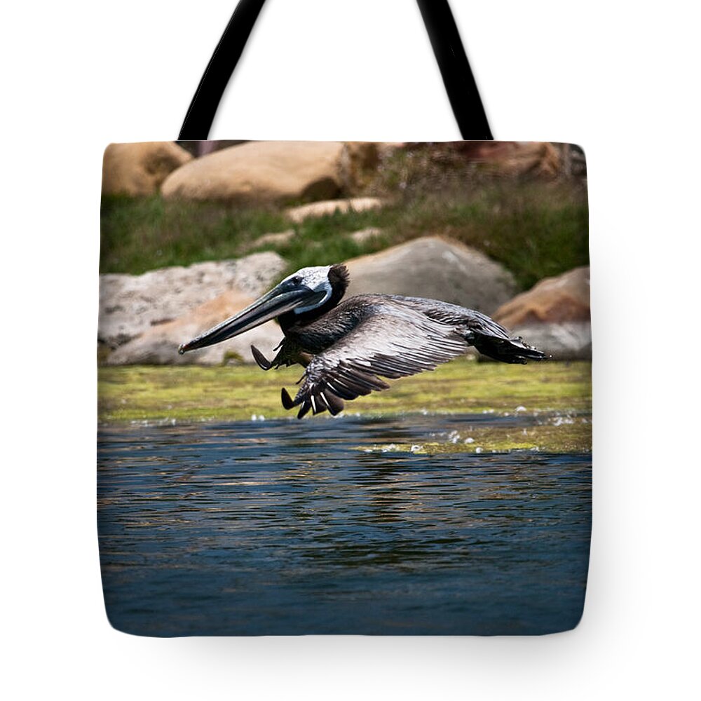Pelican Tote Bag featuring the photograph landing Pelican by Ralf Kaiser