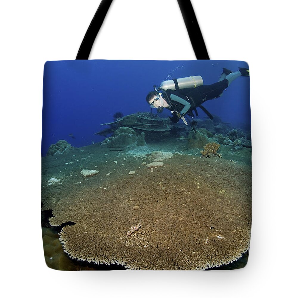 Diver Tote Bag featuring the photograph Large Staghorn Coral And Scuba Diver by Mathieu Meur
