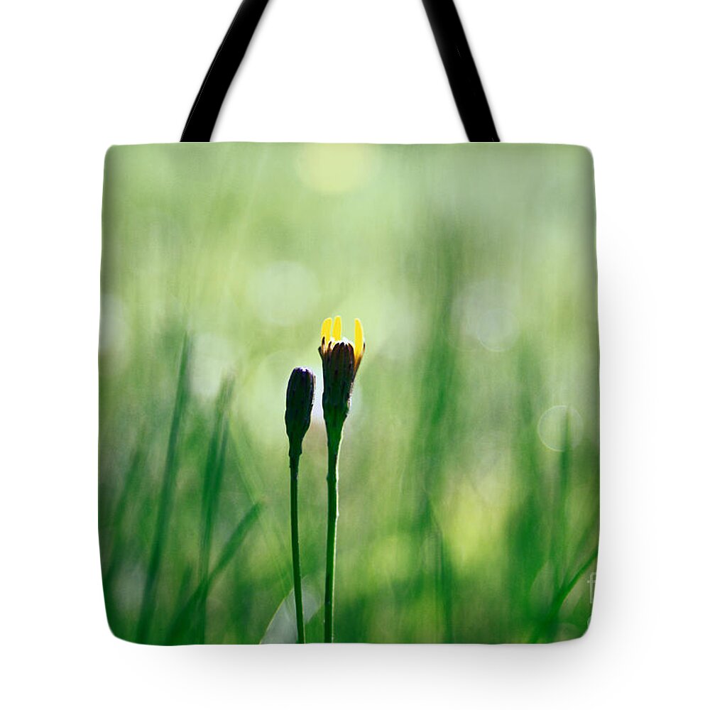 Green Tote Bag featuring the photograph Le Centre de l Attention - GREEN s0101 by Variance Collections