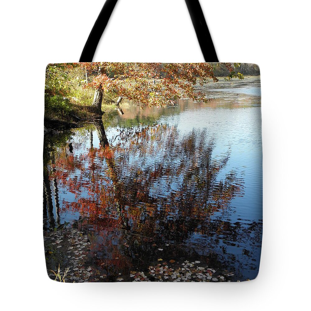 Leaves Tote Bag featuring the photograph Leaves Of Reflections by Kim Galluzzo Wozniak