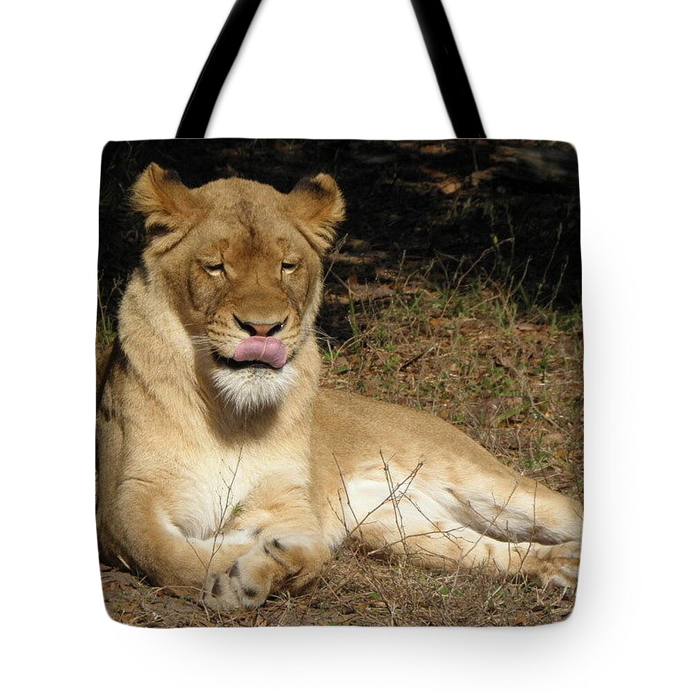 Lion Tote Bag featuring the photograph Licking Lips by Kim Galluzzo Wozniak