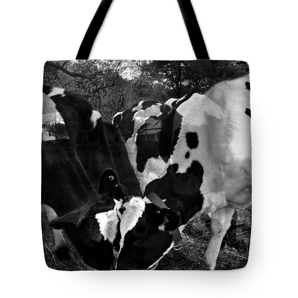 Agriculture Greeting Cards Tote Bag featuring the photograph Life is a Circle by Danielle Summa