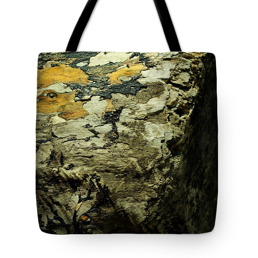 Driftwood Tote Bag featuring the photograph Life Story by Rebecca Sherman