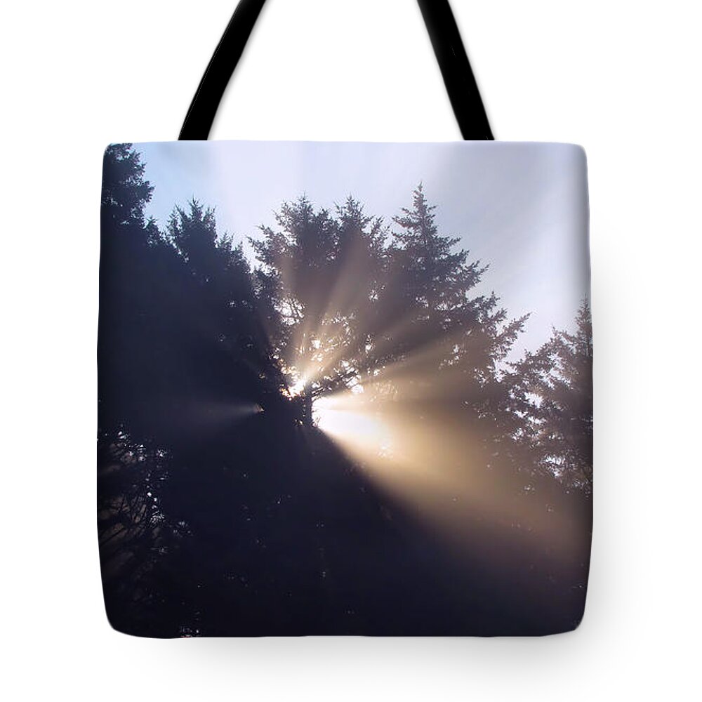 Colors Tote Bag featuring the photograph Lighting The Day by KATIE Vigil