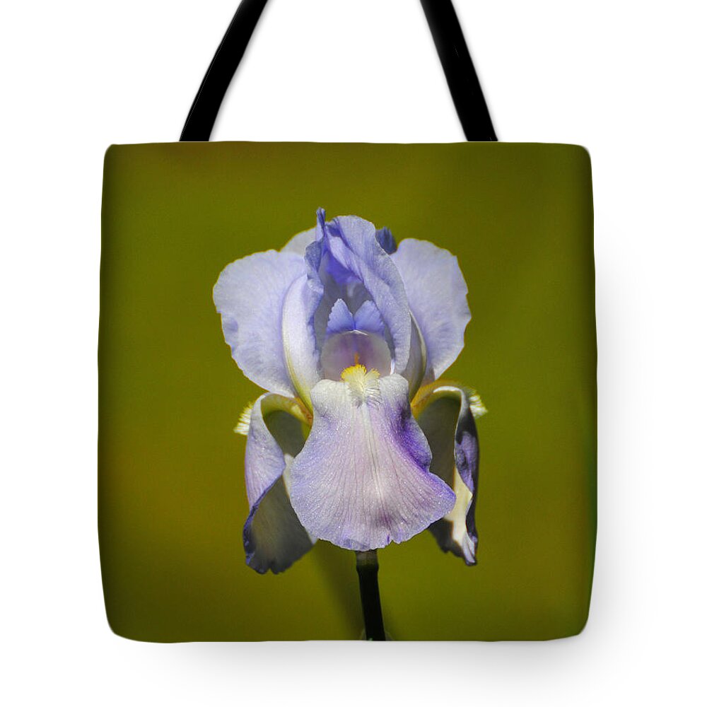 Beautiful Iris Tote Bag featuring the photograph Lilac Blue Iris Flower II by Jai Johnson