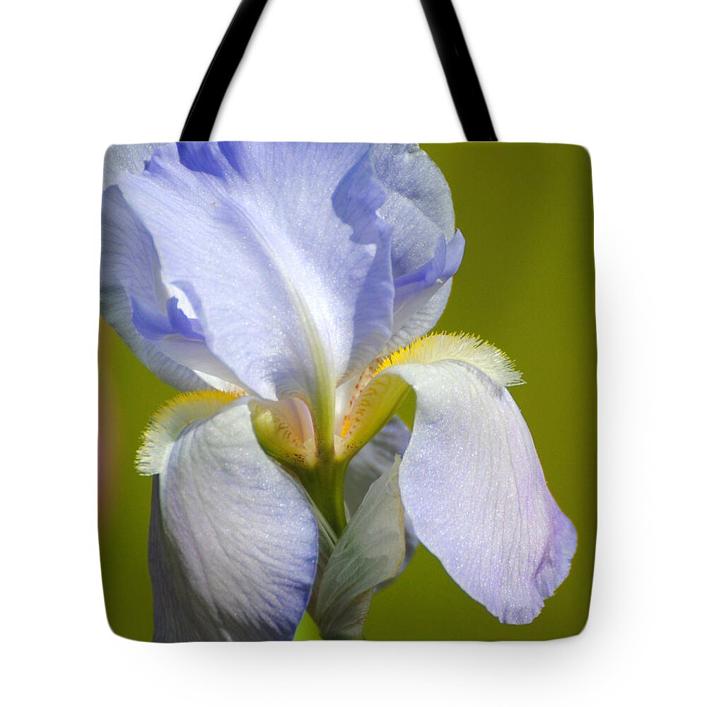 Beautiful Iris Tote Bag featuring the photograph Lilac Blue Iris Flower III by Jai Johnson