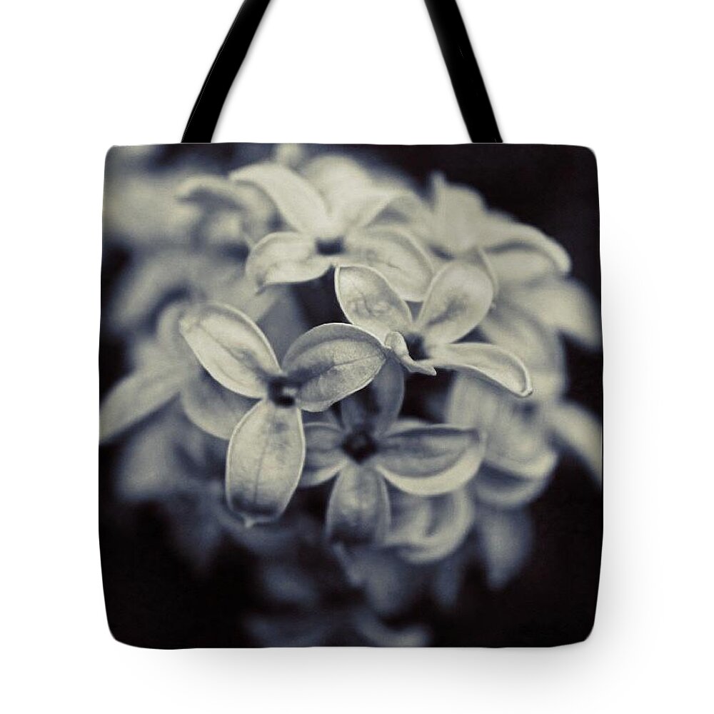 Lilacs Tote Bag featuring the photograph Lilacs in 3D in BW by Justin Connor