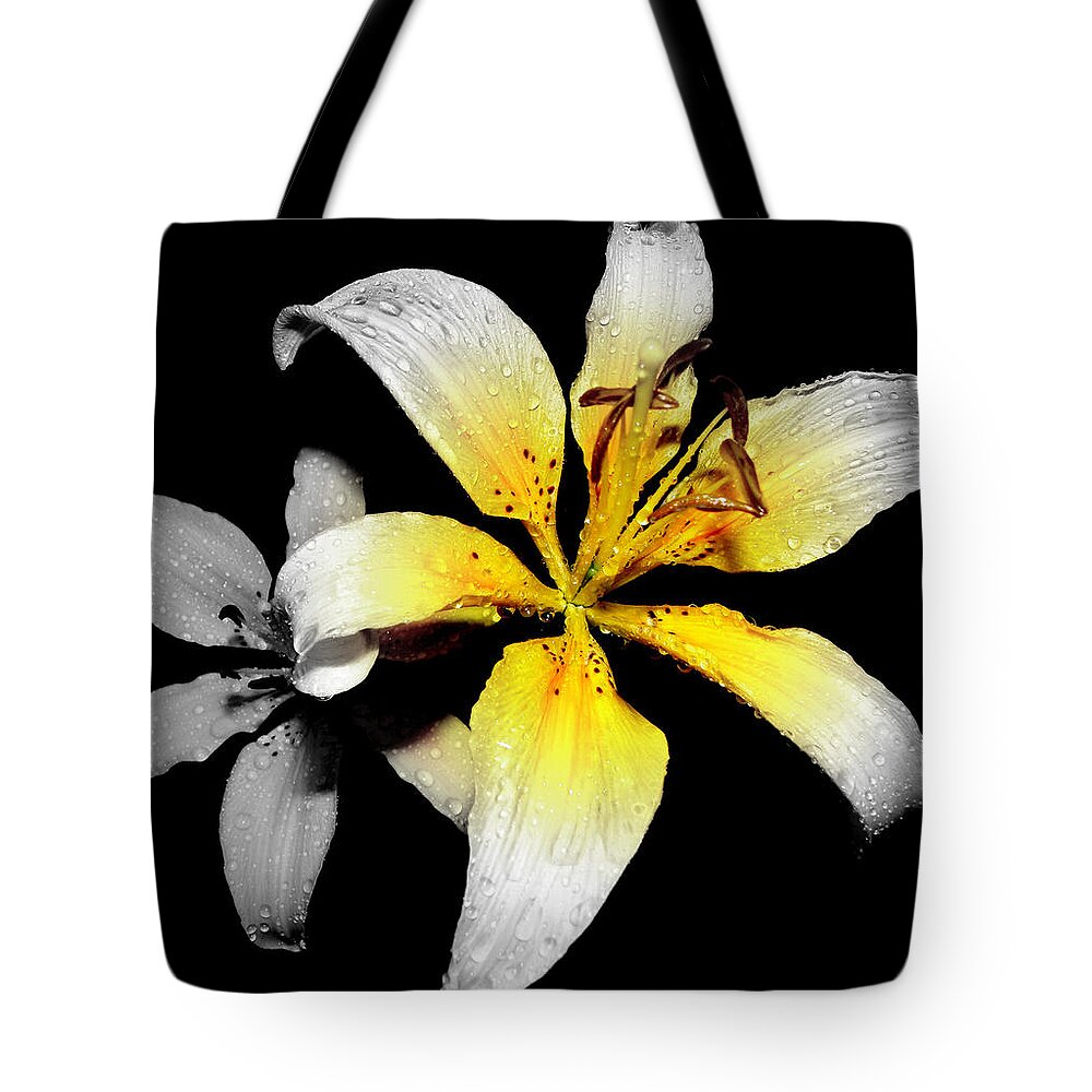 Lily Tote Bag featuring the photograph Lily In Focal Black And White by Kim Galluzzo