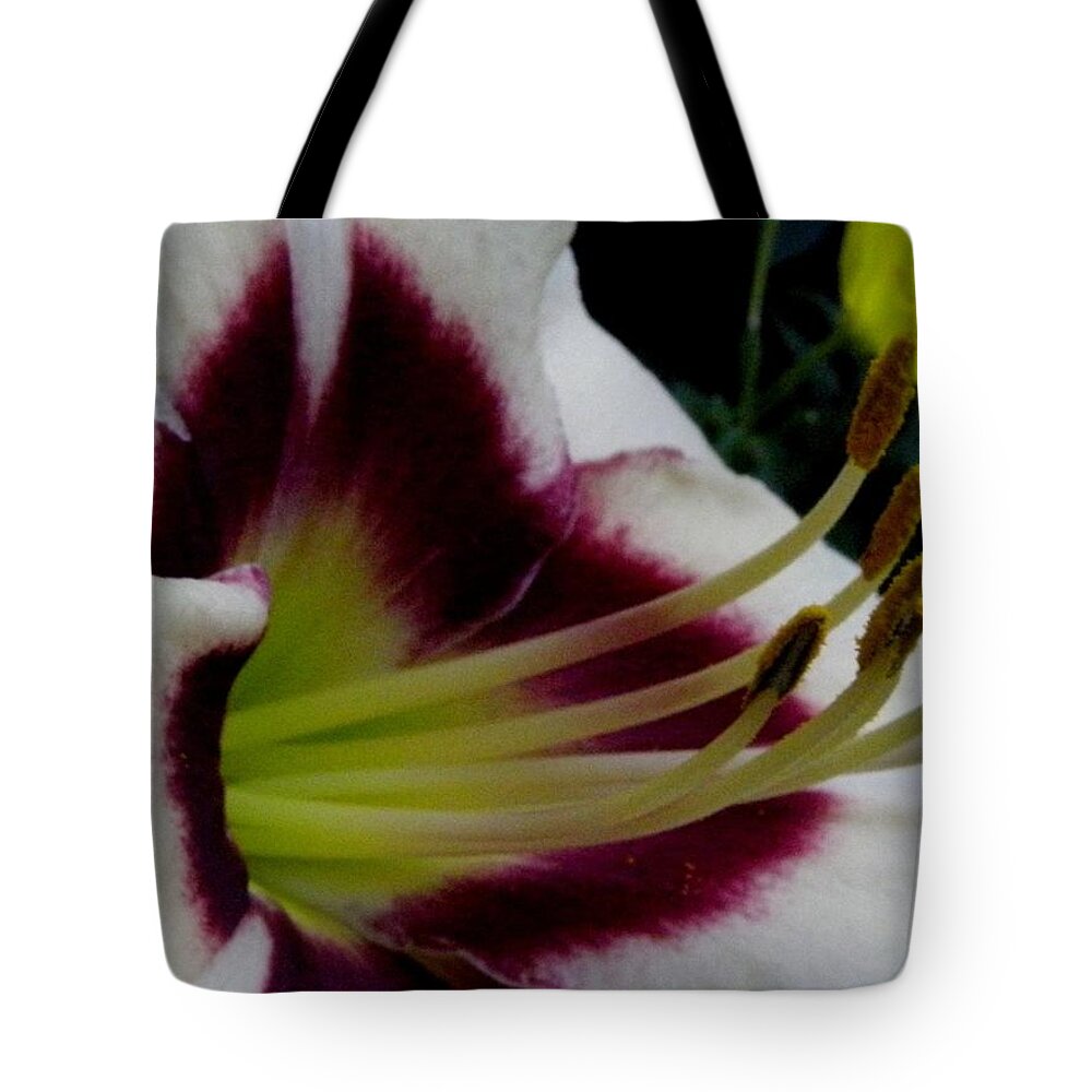 Lily Tote Bag featuring the photograph Lily Of True Beauty by Kim Galluzzo