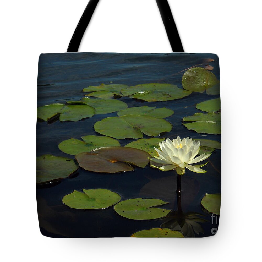 Lake Tote Bag featuring the photograph Lilypad by Amanda Jones