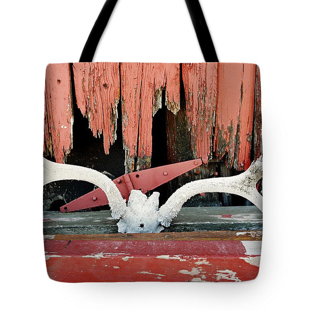 Cherryvale Tote Bag featuring the photograph Little Antlers 1 by Marilyn Hunt