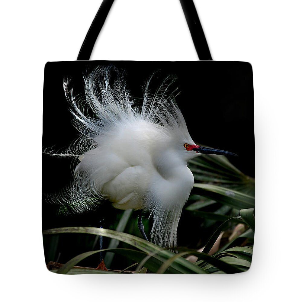 Egret Tote Bag featuring the photograph Little Snowy by Skip Willits