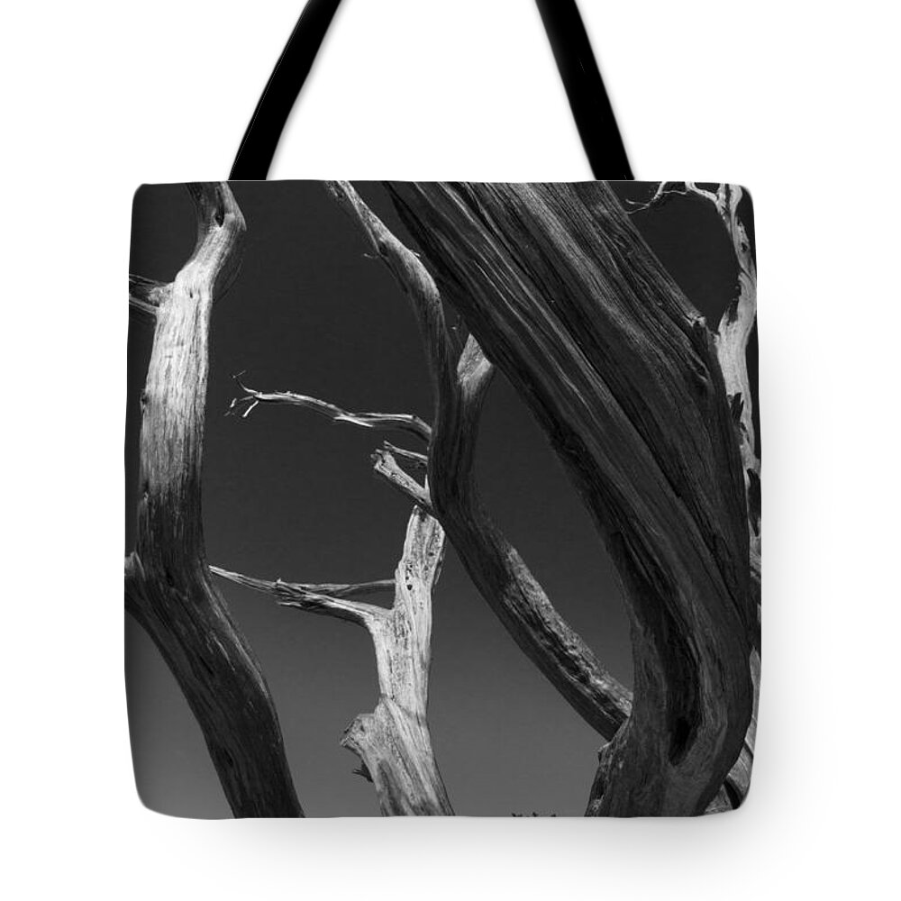 Black Tote Bag featuring the photograph Lone Tree by David Gleeson