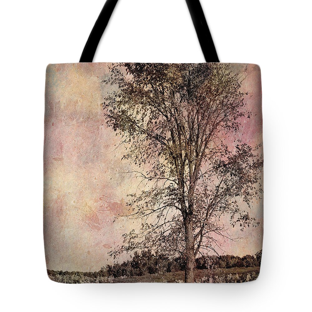 Tree Tote Bag featuring the photograph Lonesome Beauty by Aimelle Ml