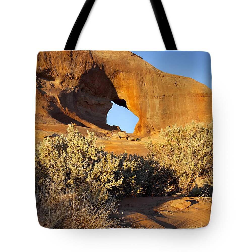 Desert Tote Bag featuring the photograph Looking Glass by Mike McGlothlen