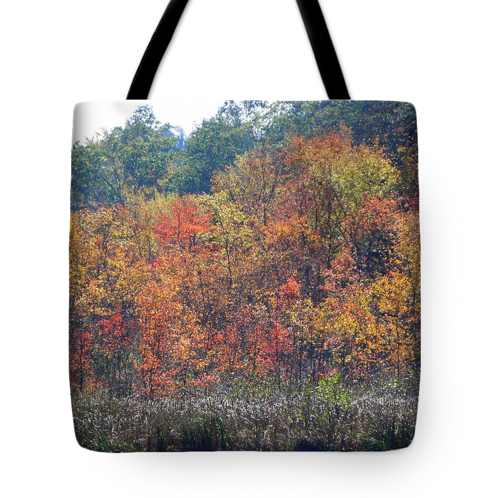 Autumn Tote Bag featuring the photograph Looks Like A Painting by Kim Galluzzo Wozniak