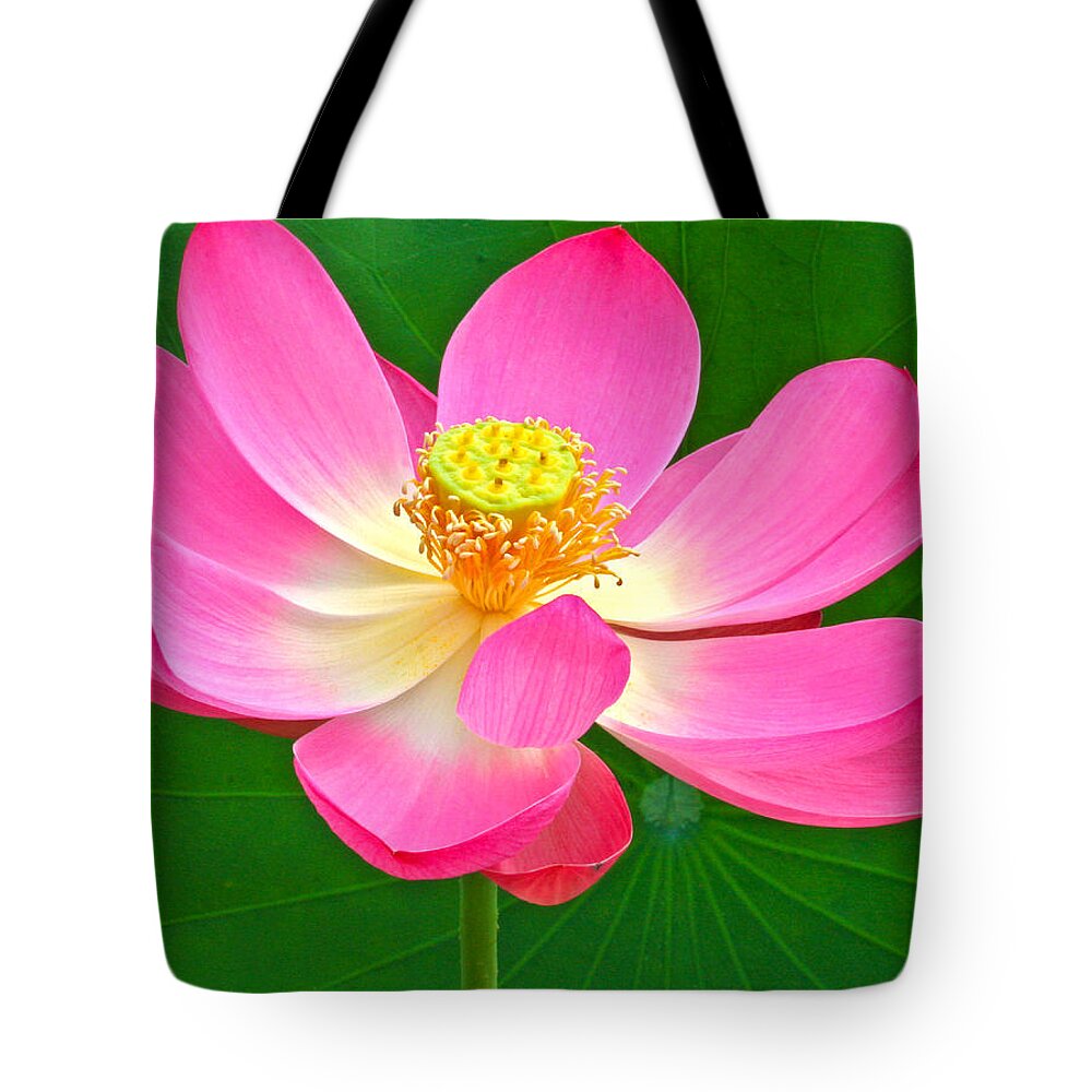 Flower Tote Bag featuring the photograph Lotus by Jean Noren