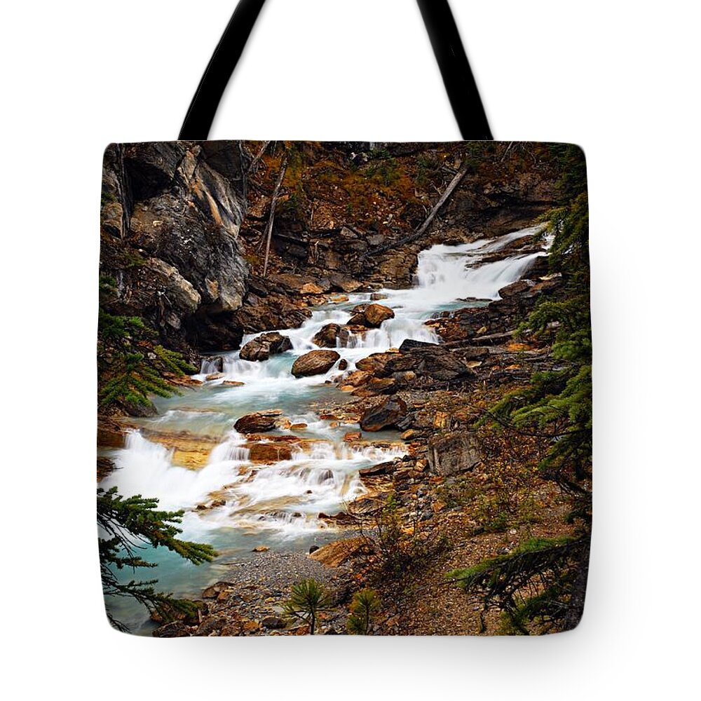 Twin Falls Tote Bag featuring the photograph Lower Twin Falls by Larry Ricker