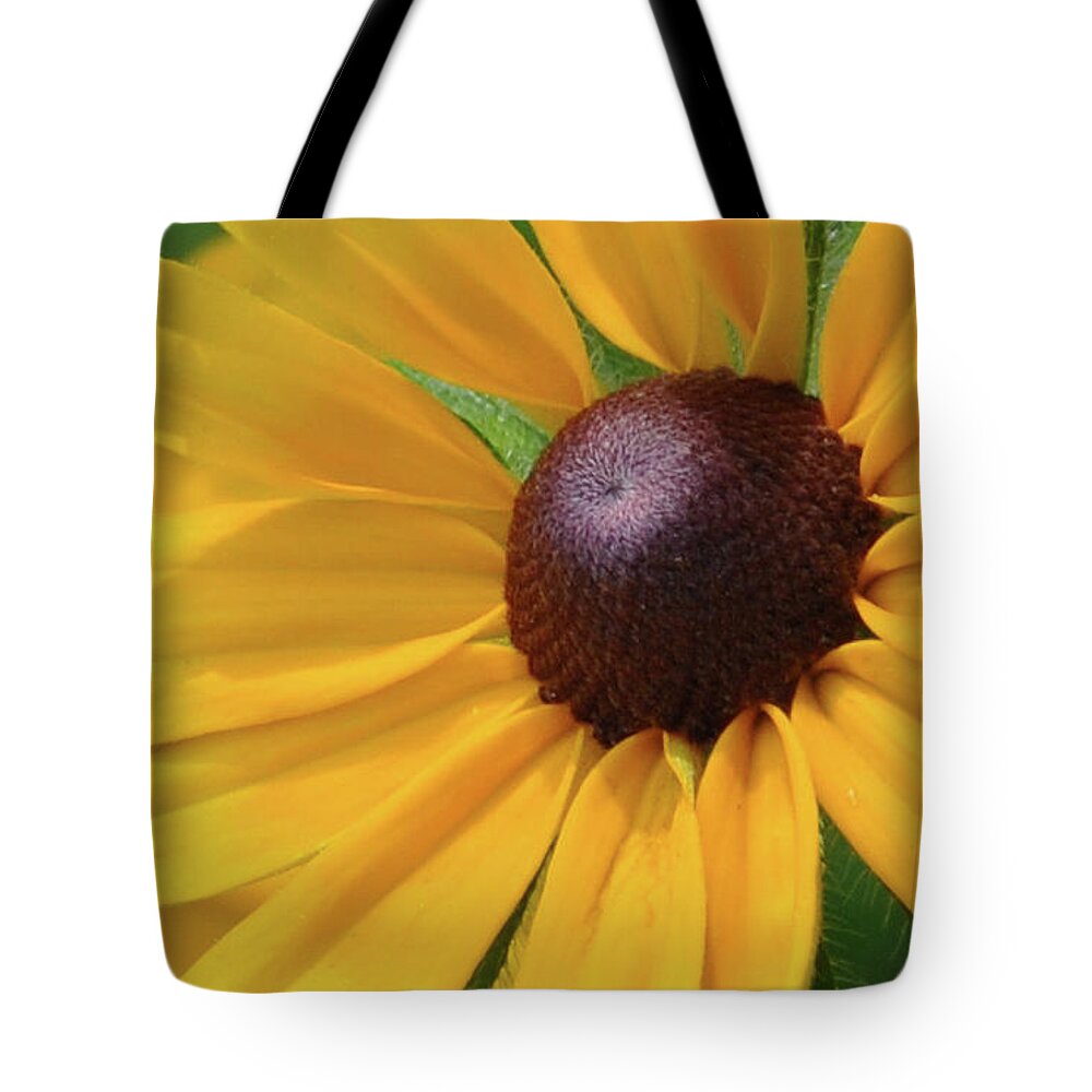 Black Eyed Susan Tote Bag featuring the photograph Black Eyed Susan by Mark Valentine