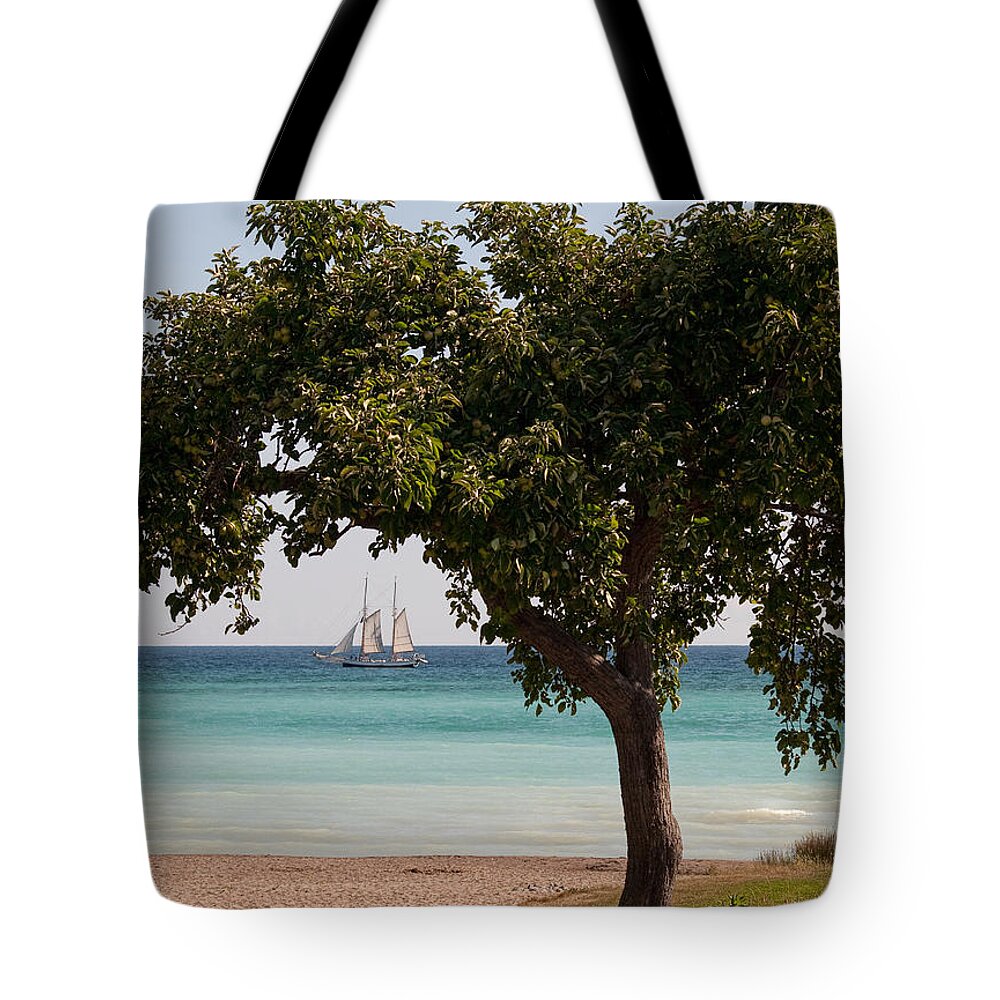 Schooner Tote Bag featuring the photograph Madeline by Terry Doyle