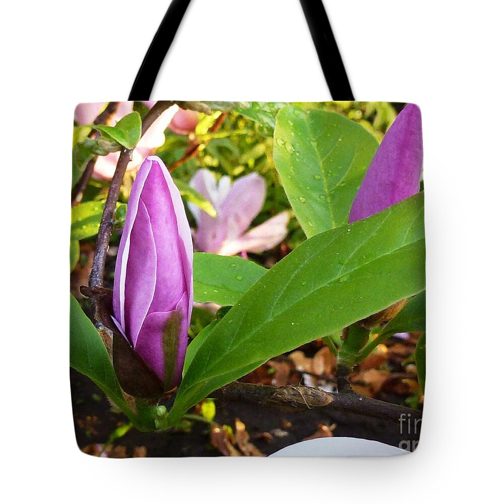 Magnolia Tote Bag featuring the photograph Magnolia by Amalia Suruceanu
