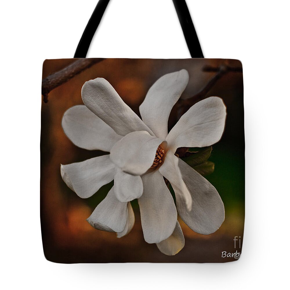 Flowers Tote Bag featuring the photograph Magnolia Bloom by Barbara McMahon