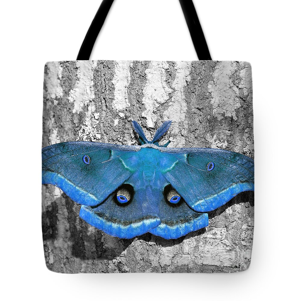 Blue Moth Tote Bag featuring the photograph Male Moth Light Blue by Al Powell Photography USA