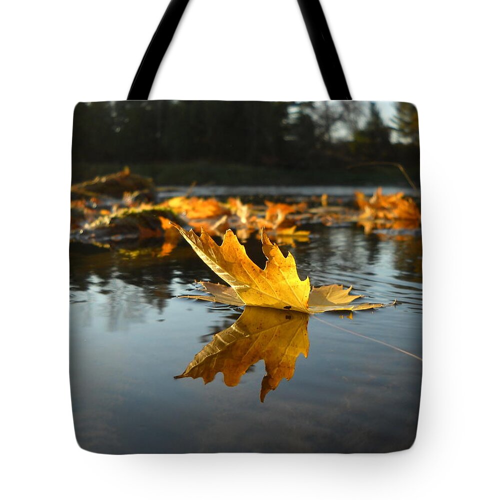 Maple Leaf Tote Bag featuring the photograph Maple Leaf Floating in River by Kent Lorentzen