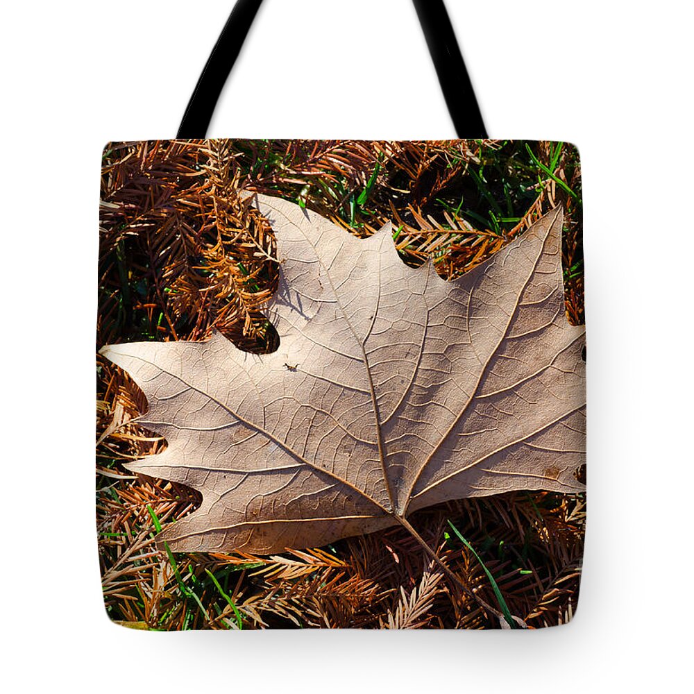 Maple Tote Bag featuring the photograph Maple leaf by Mats Silvan