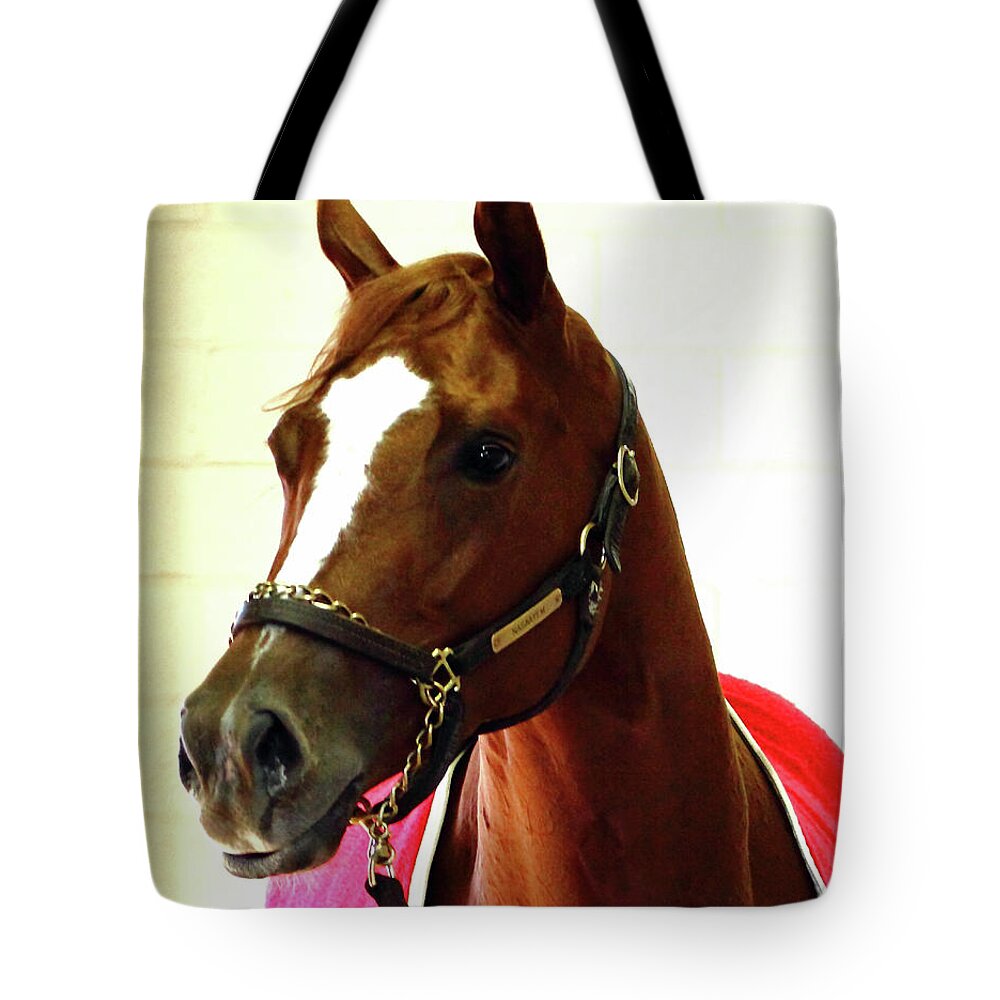 Thoroughbred Race Horse Tote Bag featuring the photograph 'Marigo in Red' by PJQandFriends Photography