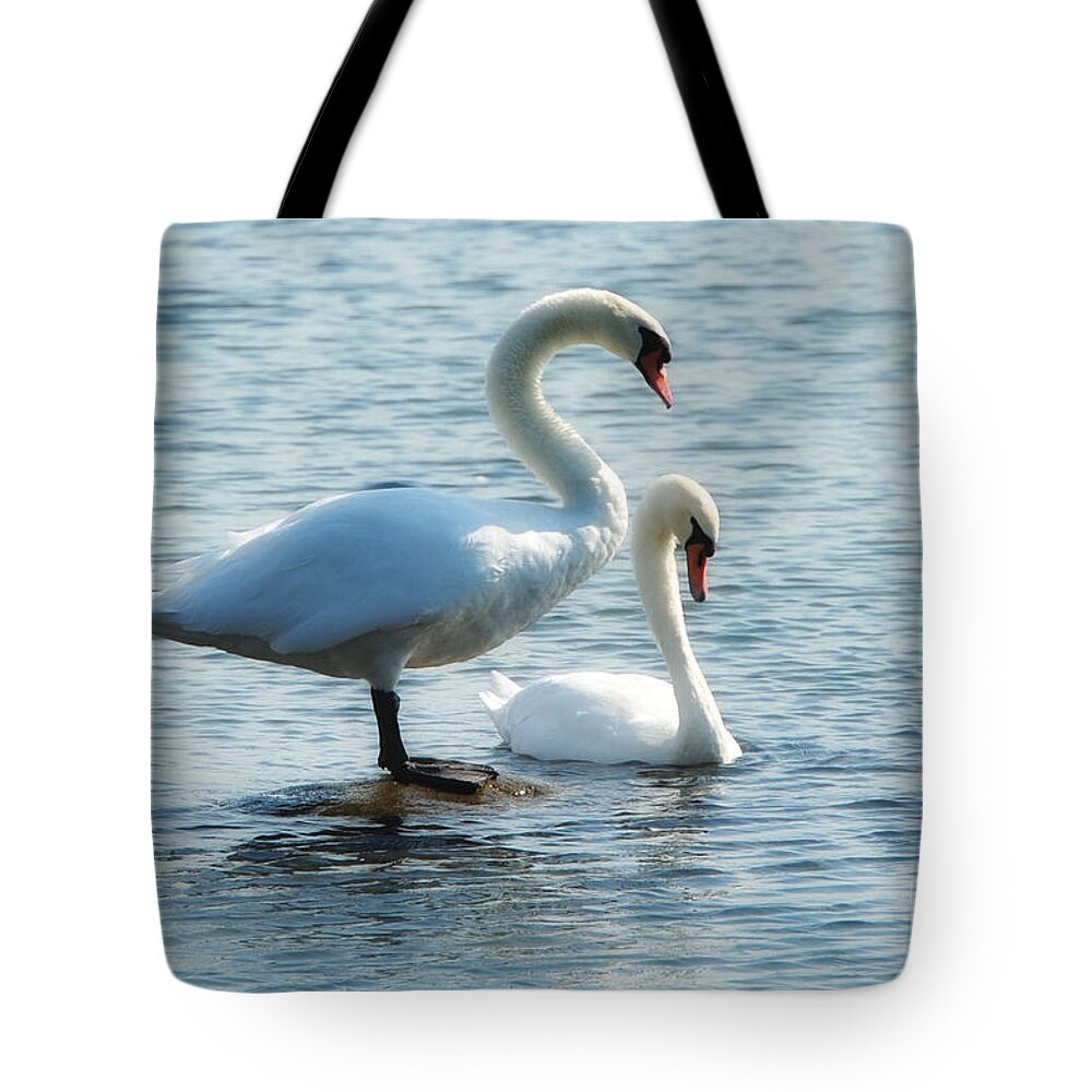 Swan Tote Bag featuring the photograph Mating Pair by Andrea Kollo