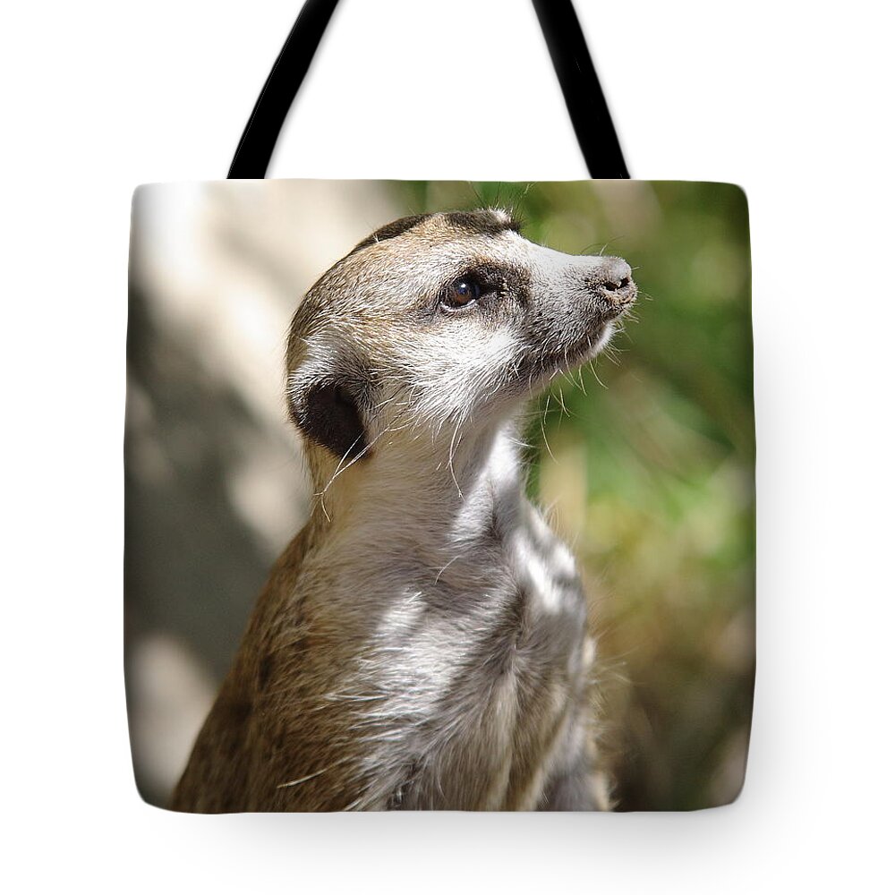 Mammal Tote Bag featuring the photograph Meerkat by Robert Frederick