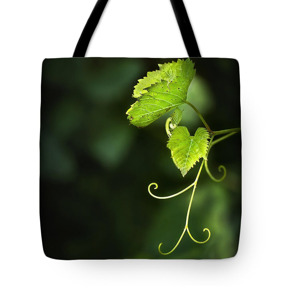 Leaf Tote Bag featuring the photograph Memories Of Green by Evelina Kremsdorf