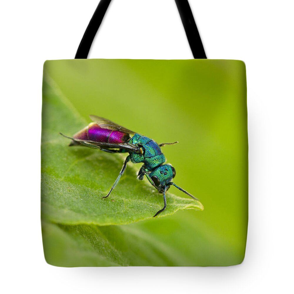 Metalic Tote Bag featuring the photograph Metalic insect by Perry Van Munster