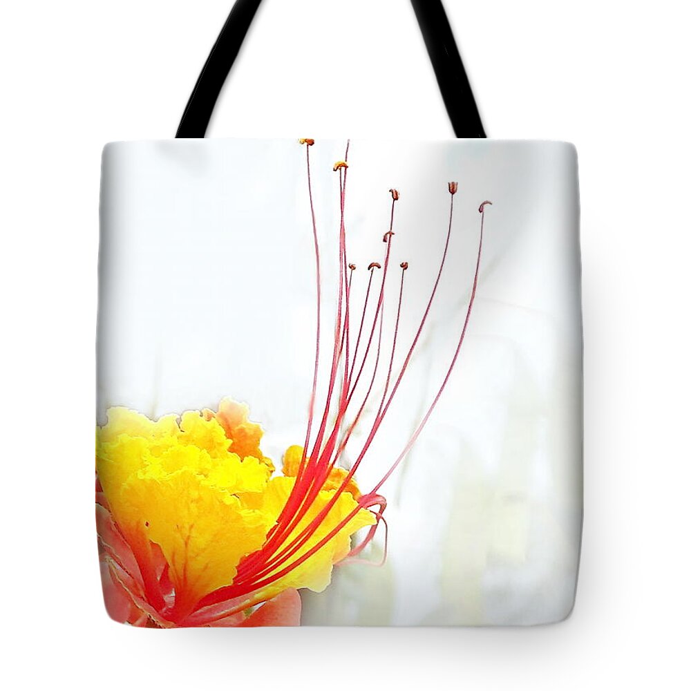 Floral Tote Bag featuring the photograph Mexican Bird of Paradise by Kume Bryant