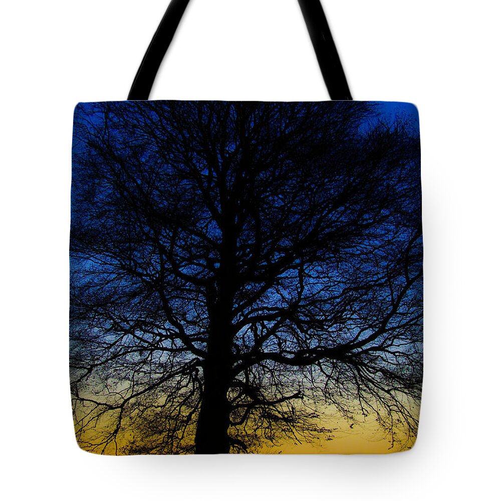 Tree Tote Bag featuring the photograph Midnight Calm by Rob Hemphill