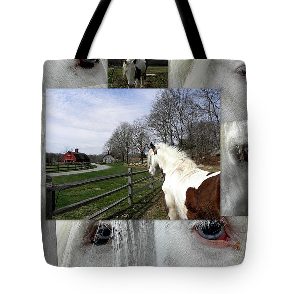 Gypsy Vanner Tote Bag featuring the photograph Miss Gypsy Dory Collage by Kim Galluzzo