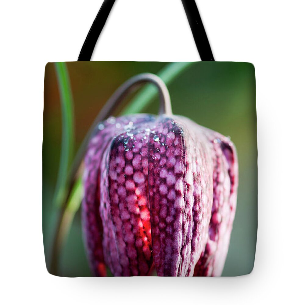 Fritillaries Tote Bag featuring the photograph Missionbell by Rob Hemphill