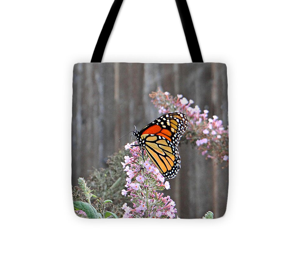 Nature Tote Bag featuring the photograph Monarch by Dark Whimsy