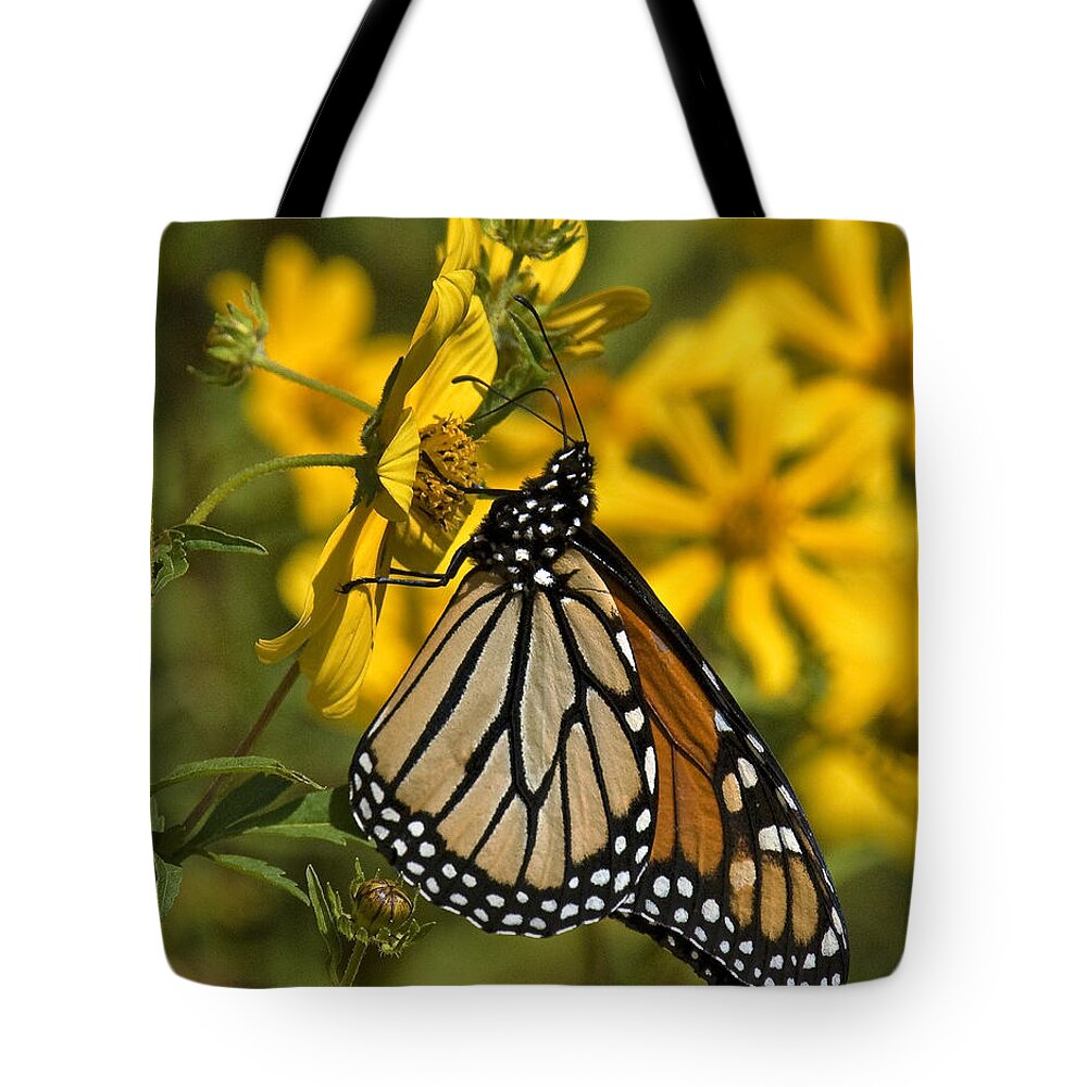 Nature Tote Bag featuring the photograph Monarch Butterfly on Tickseed Sunflower DIN146 by Gerry Gantt