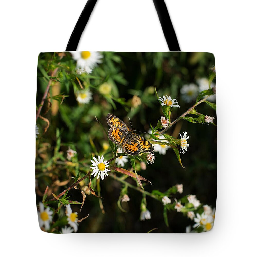 Butterfly Tote Bag featuring the photograph Monarch by Scott Wyatt