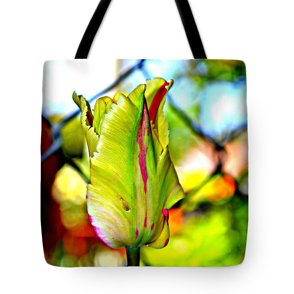 Parrot Tulip Tote Bag featuring the photograph Mood Swing by Diane montana Jansson