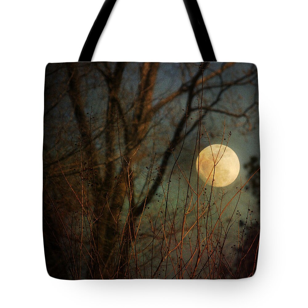 Moon Tote Bag featuring the photograph Moonrise by Jai Johnson