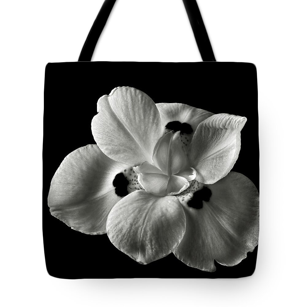 Flower Tote Bag featuring the photograph Morea Lily 2 in Black and White by Endre Balogh