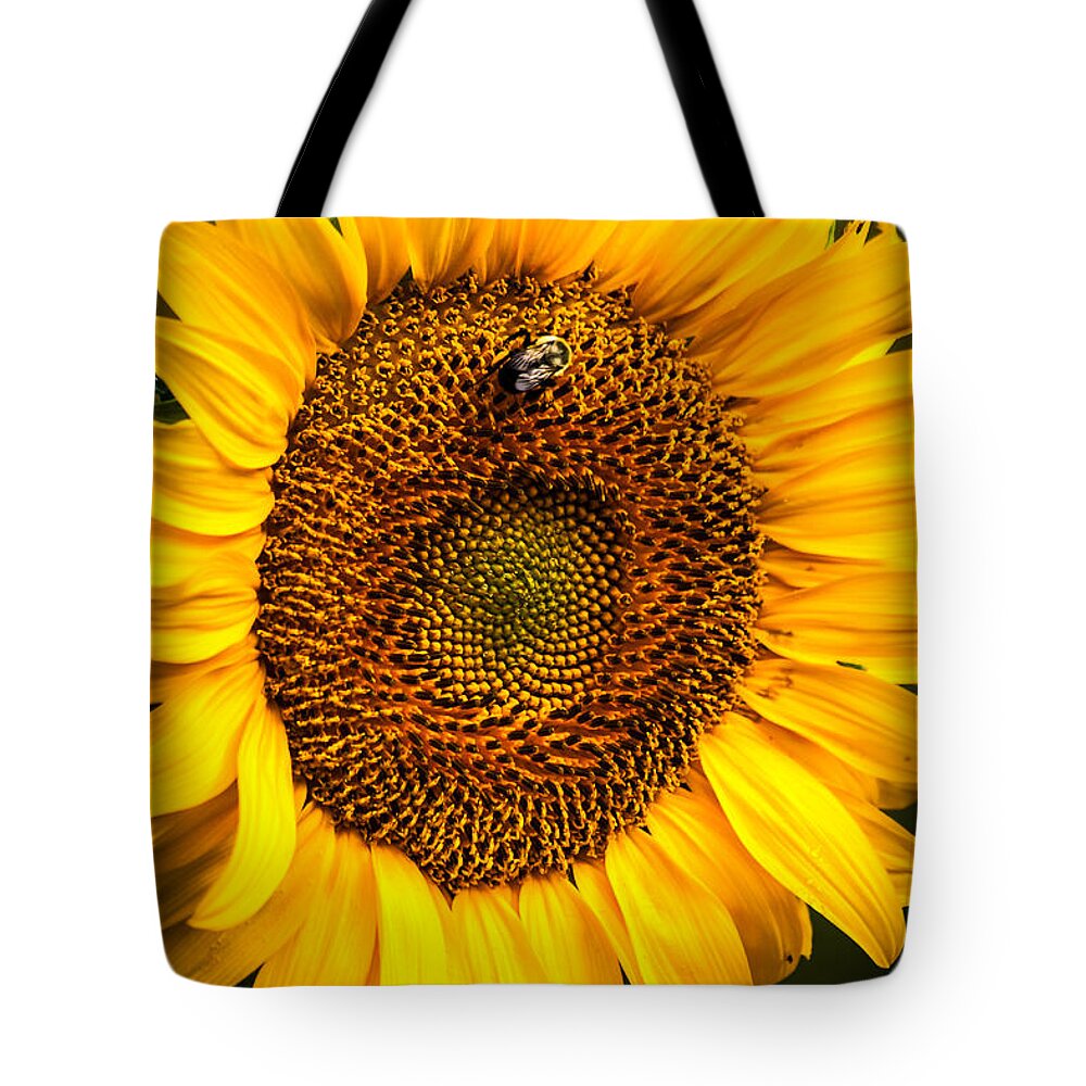 Bee Tote Bag featuring the photograph Morning Susnshine by Keith Allen